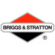 Двигатели Briggs-Stratton в Новосибирске