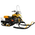 Снегоход Irbis Dingo T150 NEW в Новосибирске